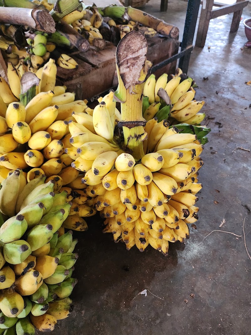Trincomalee Central Public Market - Trincomalee Central Public Market Market, Trincomalee, Sri Lanka