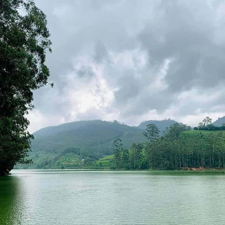 Kerala Tourism Information - Kerala Tourism Information, Kumaranellur, Kerala 679552, India