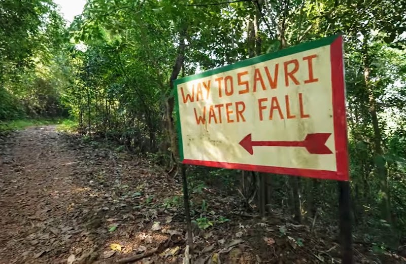 Neturlem Waterfall (Savri) - Neturlem Waterfall (Savri) 366J+FQM, Neturlim, Goa 403704, India