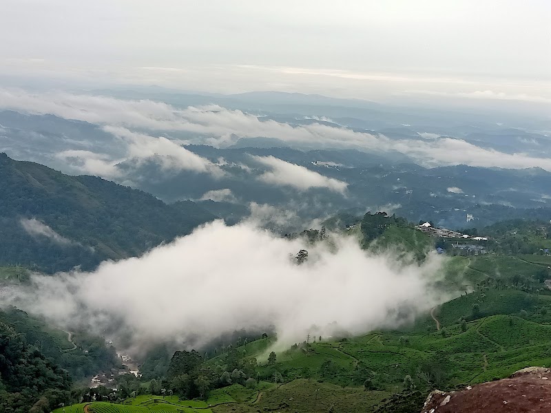 Green Munnar Trekking - Green Munnar Trekking MSA Rd, Moolakadai, Munnar, Kerala 685612, India