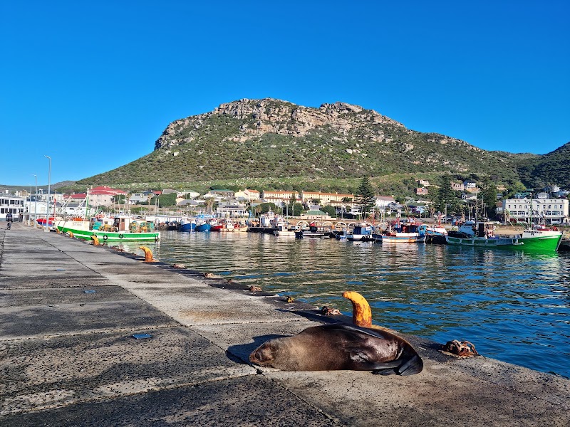 Kalk Bay Harbour - Kalk Bay Harbour, 167-181 M4, Fish Hoek, Cape Town, 7990, South Africa