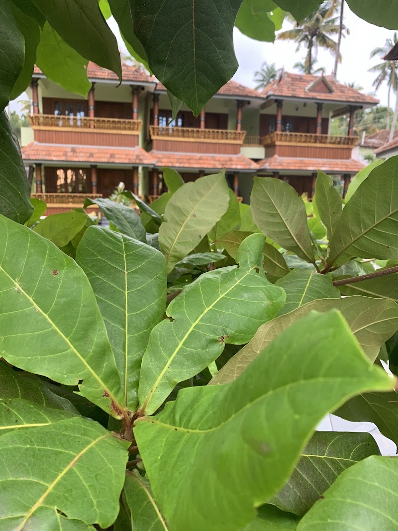 Royal Kazbay Beach Resort - Royal Kazbay Beach Resort Odayam Beach Road, Varkala, Kerala 695311, India