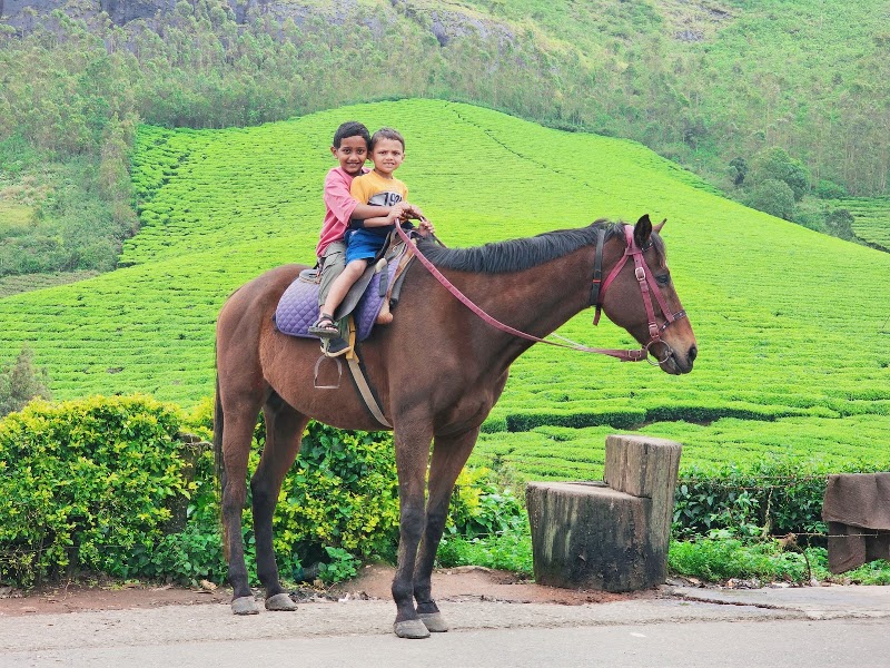 Photo Point - Photo Point, Munnar - Top Station Hwy, Kannan Devan Hills, Kerala 685616, India