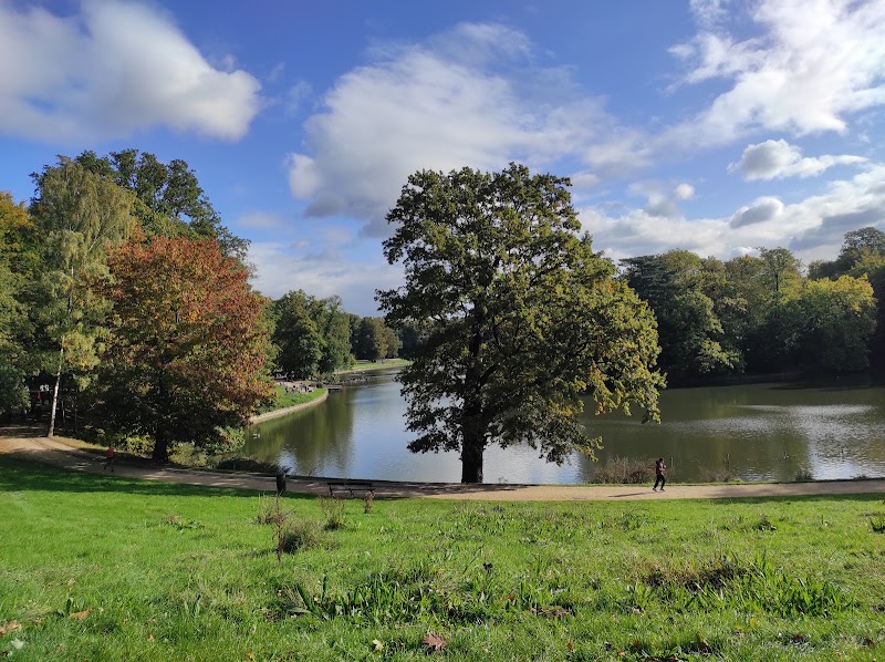 Cambre Woods - Cambre Woods Brussels, Belgium
