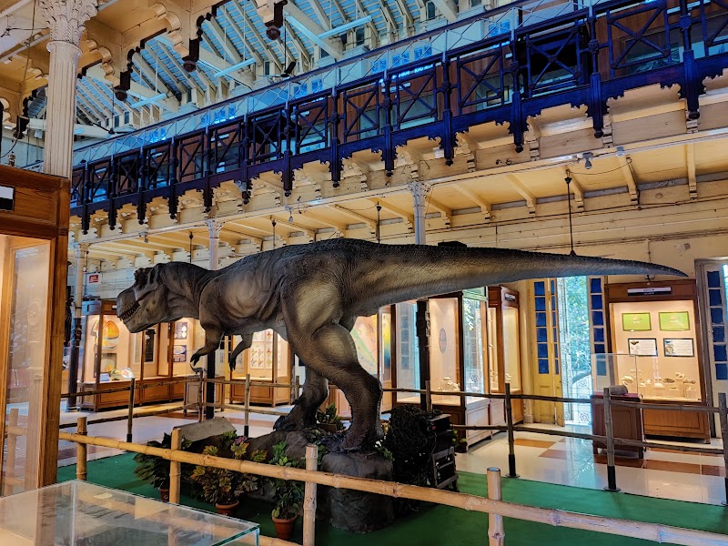 Government Museum Chennai - Government Museum Chennai Pantheon Rd, Egmore, Chennai, Tamil Nadu 600008, India