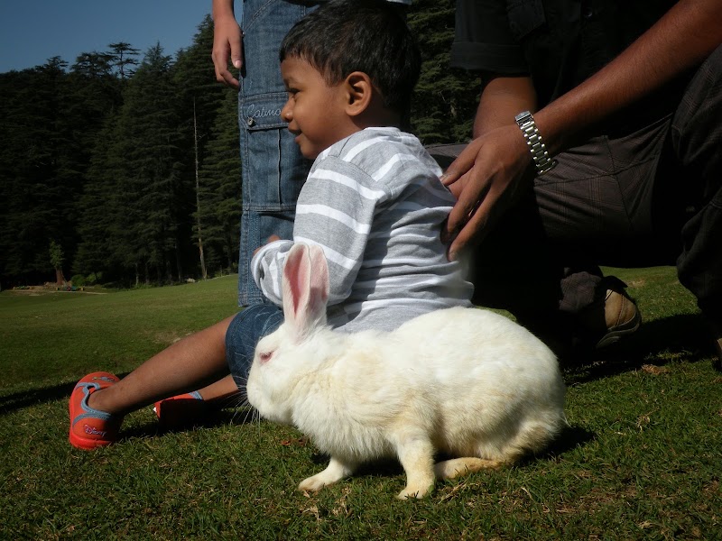 Khajjiar Lake - Khajjiar Lake, Khajjiar, Himachal Pradesh 176314, India