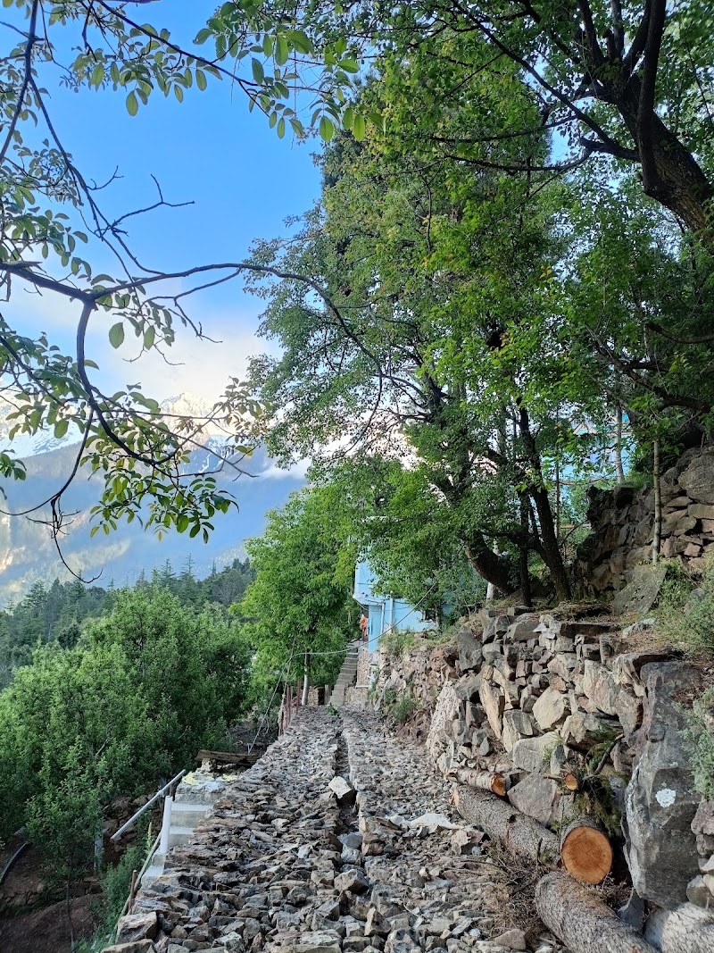Dev homestay Kalpa - Dev homestay Kalpa V.P.O. KALPA, TEH. KALPA, DISTT, Reckong Peo, Kalpa, Himachal Pradesh 172108, India