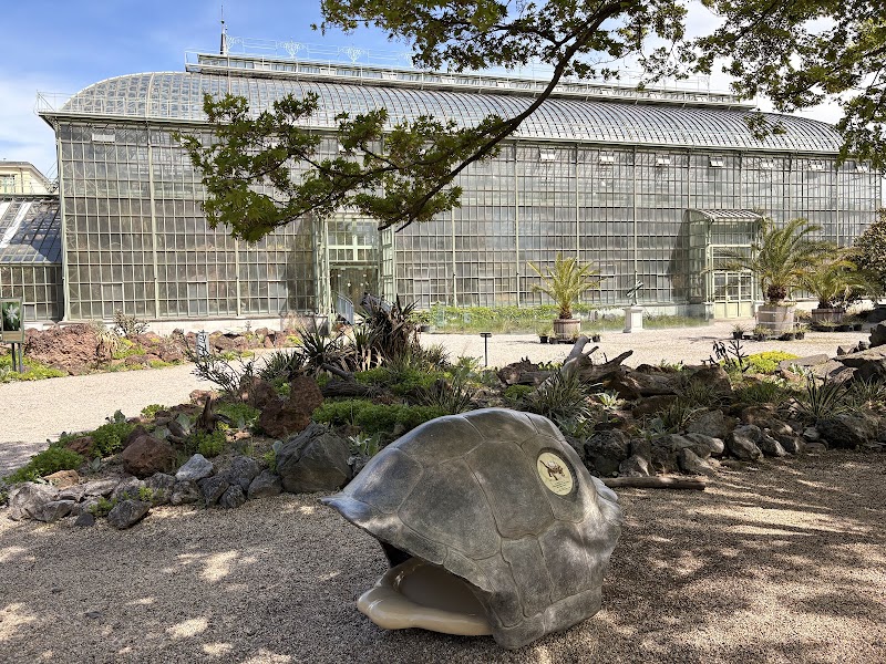 Desert House - Desert House, Schlosspark Schönbrunn, 1130 Wien, Austria