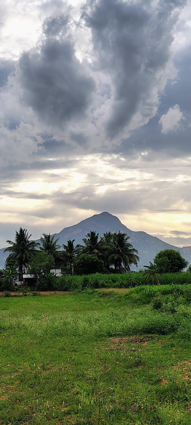 Annamalaiyar Hill - Annamalaiyar Hill, 63R4+FV3, Tiruvannamalai, Tamil Nadu 606601, India