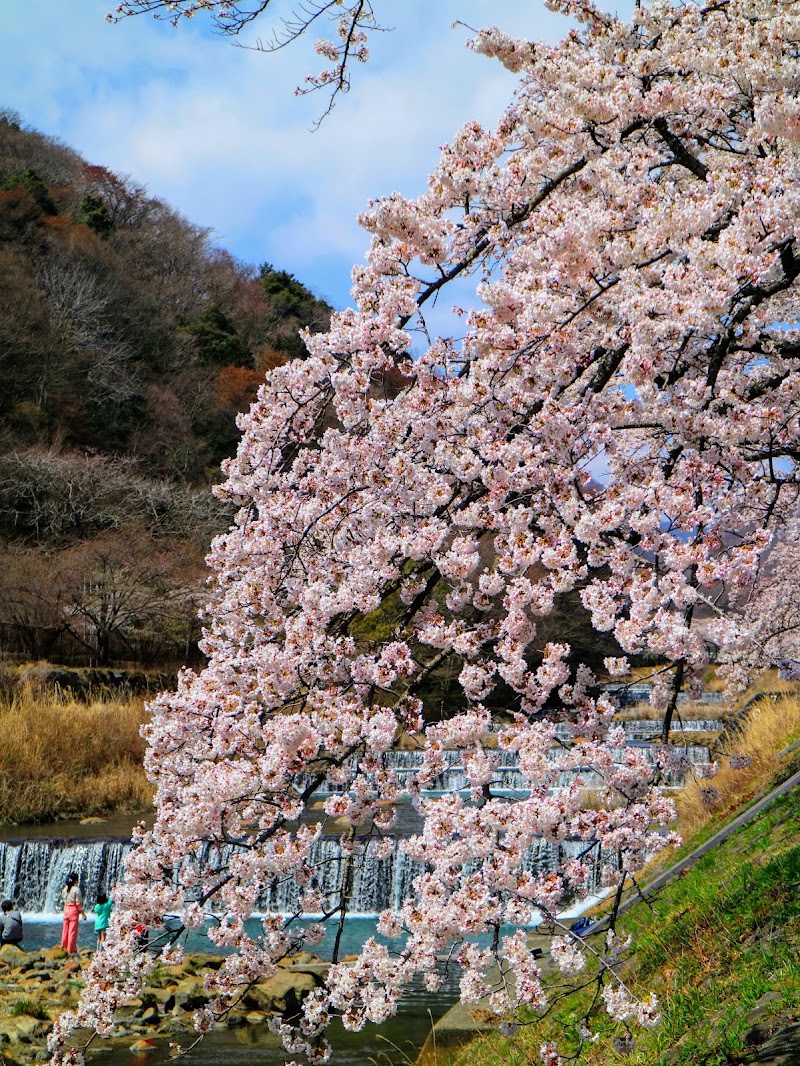 Miyagino - Miyagino, Hakone, Ashigarashimo District, Kanagawa 250-0401, Japan