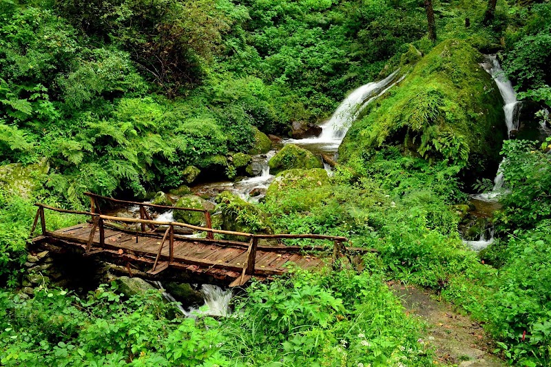 Tirthan Trails - Tirthan Trails 1km milestone, across Goshaini, Gushaini, Pekhri, Himachal Pradesh 175123, India
