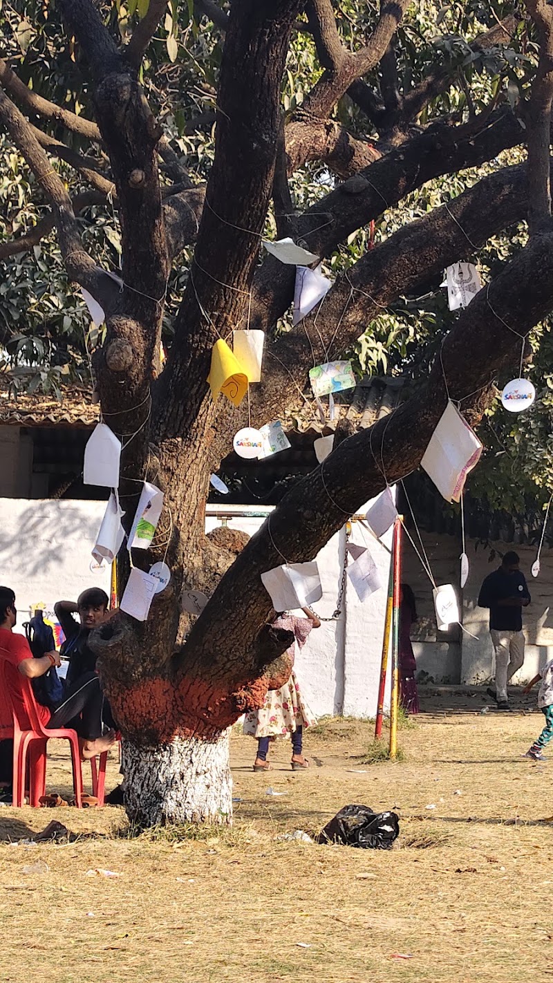 DWAR Foundation (NGO) | DWAR Development Wheel Against Recession Foundation - DWAR Foundation (NGO) | DWAR Development Wheel Against Recession Foundation, 34, Imlital, Danapur, Patna, Bihar 801503, India
