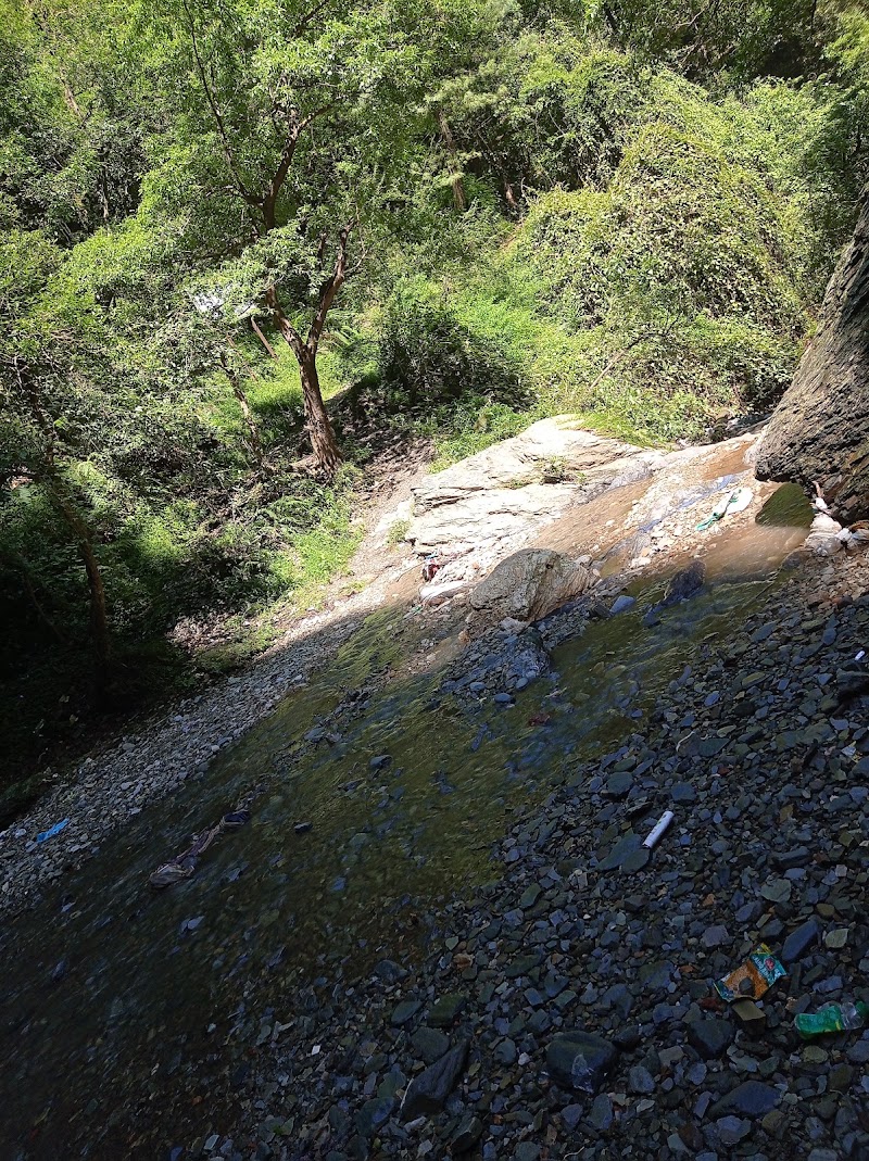 Chadwick Falls - Chadwick Falls 449Q+VH3, Shimla, Himachal Pradesh 171005, India