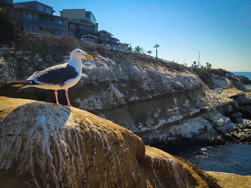 La Jolla - La Jolla, San Diego, CA, USA