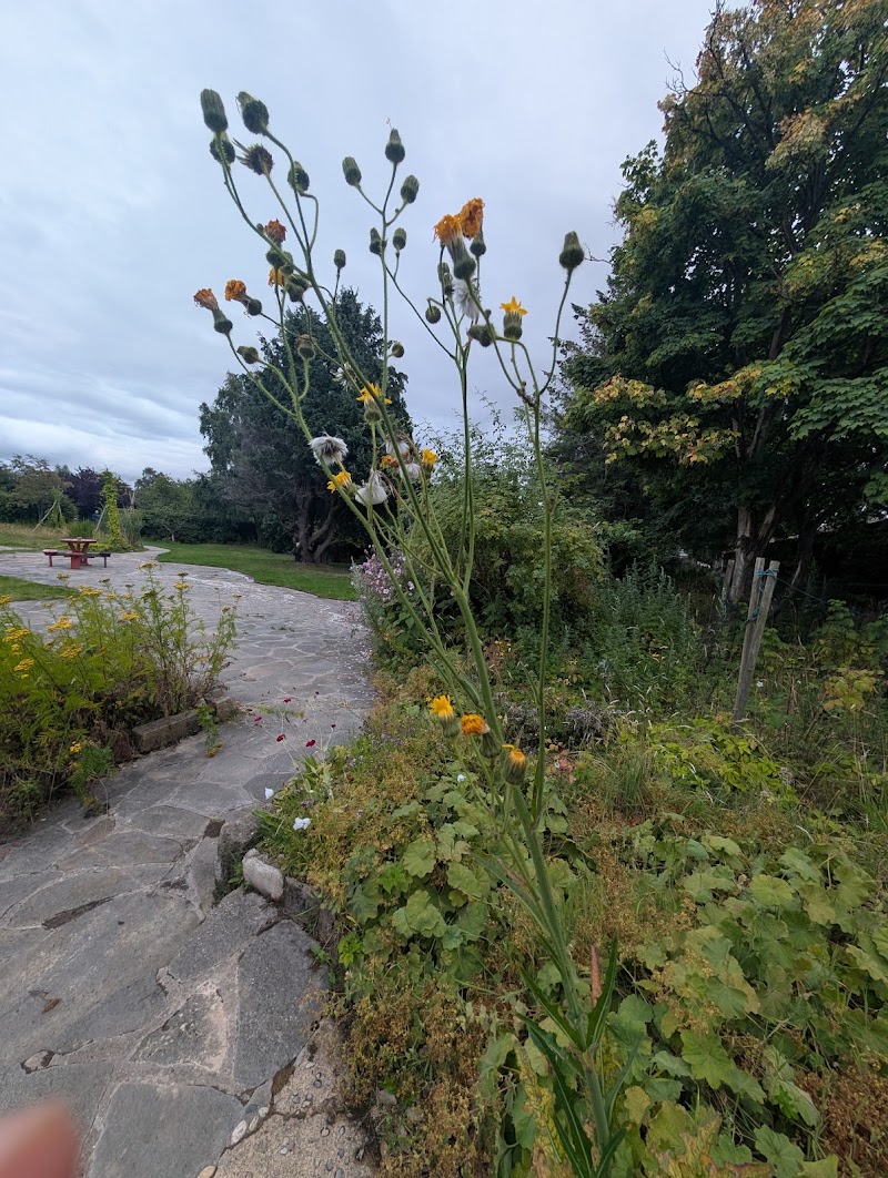 Sunflower Bed & Breakfast - Sunflower Bed & Breakfast, 404, Field of Dreams, The Park, Findhorn, Forres IV36 3TA, UK