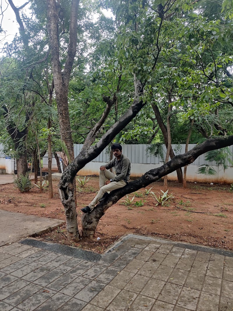 Race Course - Race Course Race Course, Coimbatore, Tamil Nadu 641018, India