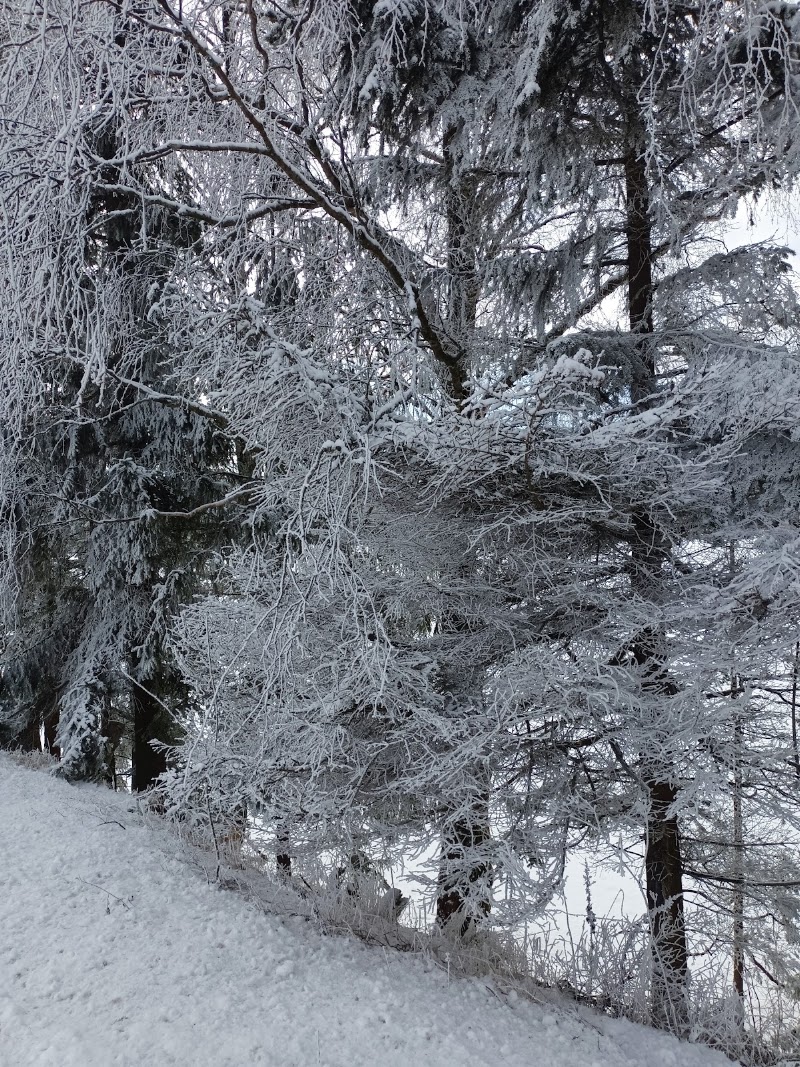 Lipno - Lipno, Frýdava, 382 73 Přední Výtoň-Vyšší Brod, Czechia