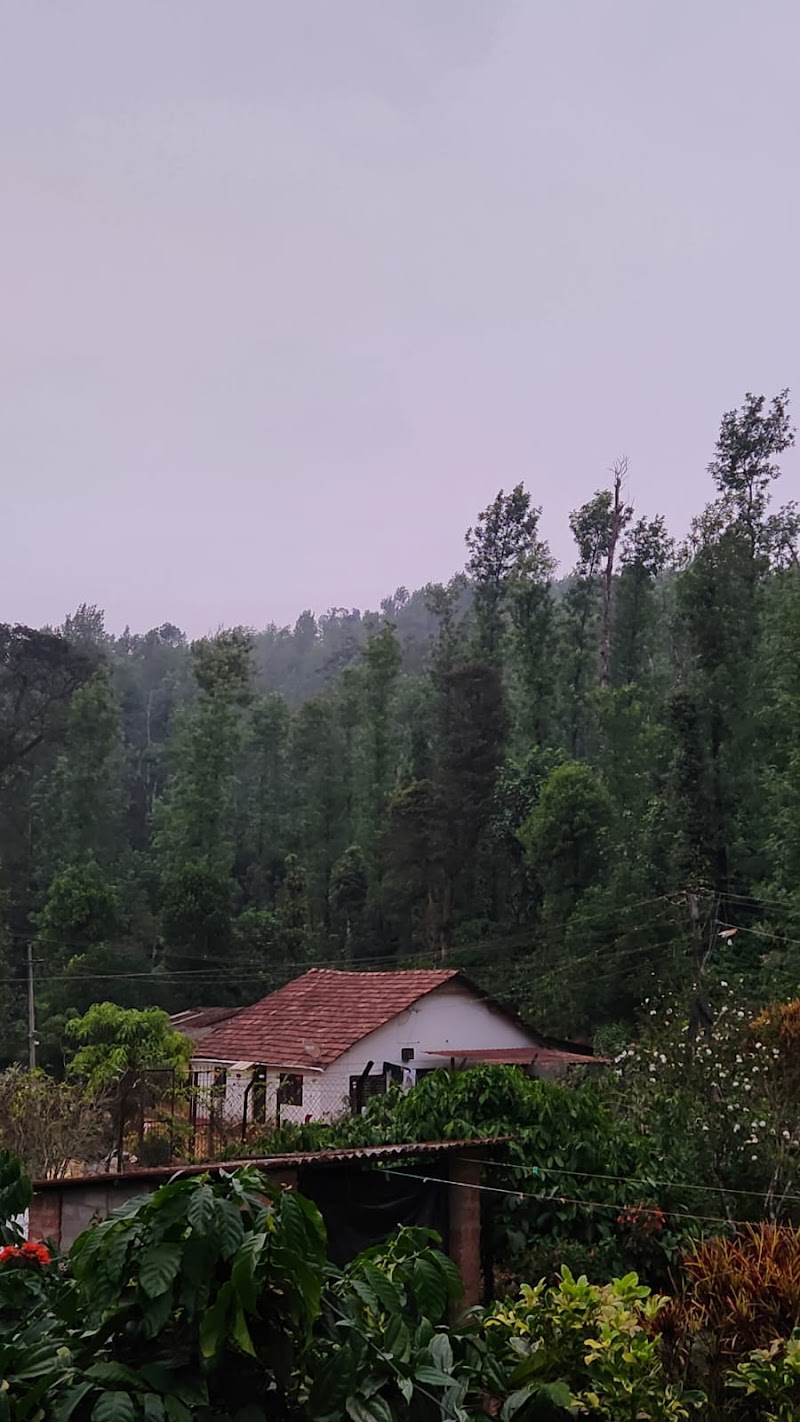 Hill Side Estate Stay - Hill Side Estate Stay, Kaggodlu Village and Post, -571201, Madikeri, Kaggodlu, Karnataka 571201, India