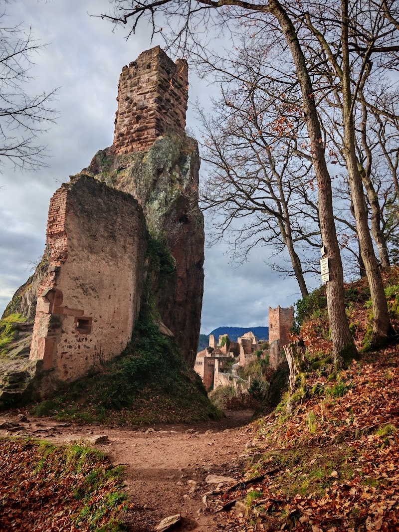 Château du Giersberg - Château du Giersberg, 68150 Ribeauvillé, France