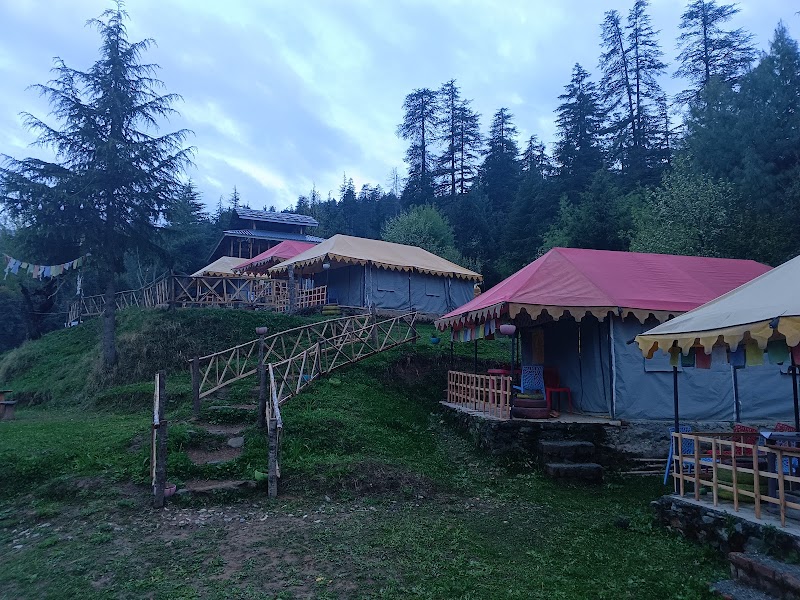 Whispering Pines Camp Stay - Whispering Pines Camp Stay, Shangarh, Himachal Pradesh 175134, India