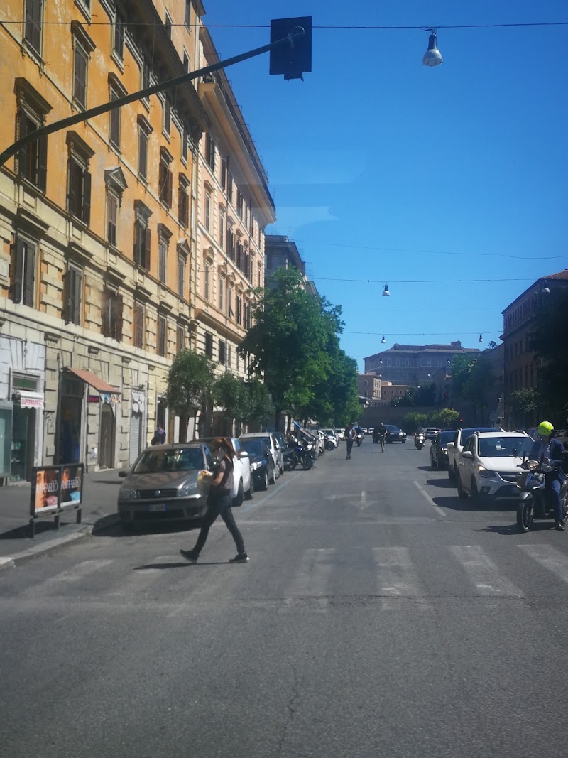Trionfale - Trionfale, Rome, Metropolitan City of Rome Capital, Italy