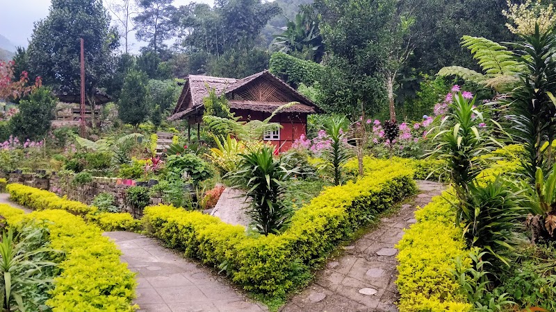 Rimbi Orange Garden - Rimbi Orange Garden Pelling-Rimbi Rd, Pelling City, Sikkim 737113, India