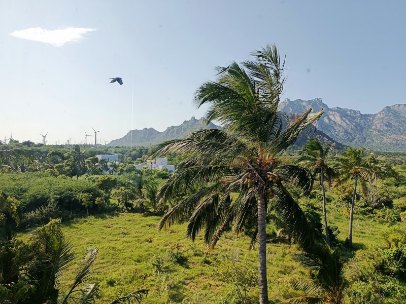 Hotel Aavudai Grand - Hotel Aavudai Grand Main Road, Aralvaimozhi, Nagercoil, Tamil Nadu 629301, India