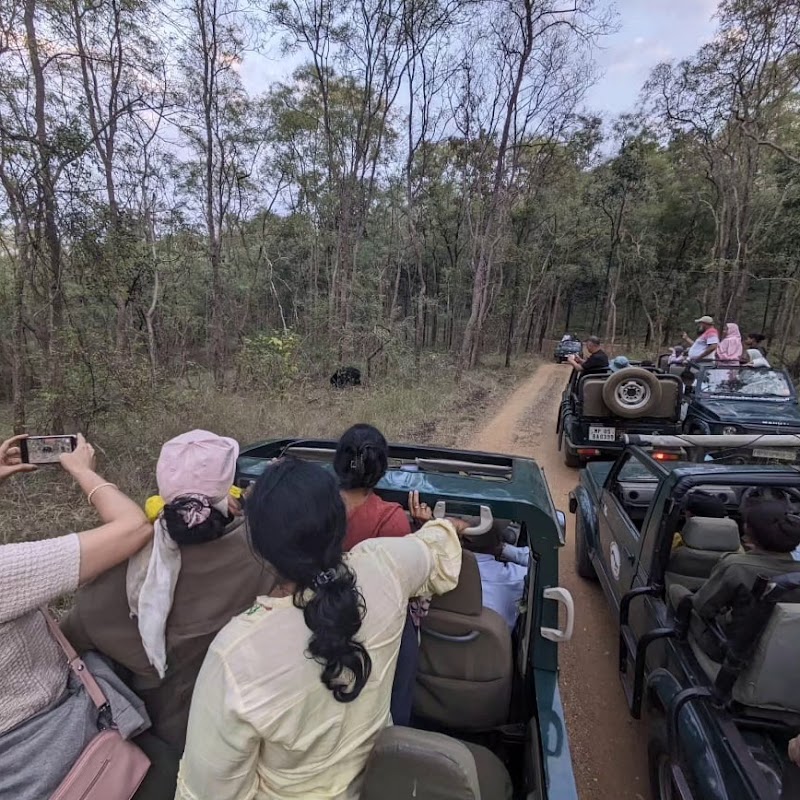 THE GYPSY ADVENTURES - THE GYPSY ADVENTURES, Booking office :Hotel kachnar, Arvind Marg, Pachmarhi, Pachmarhi Cantt, Madhya Pradesh 461881, India