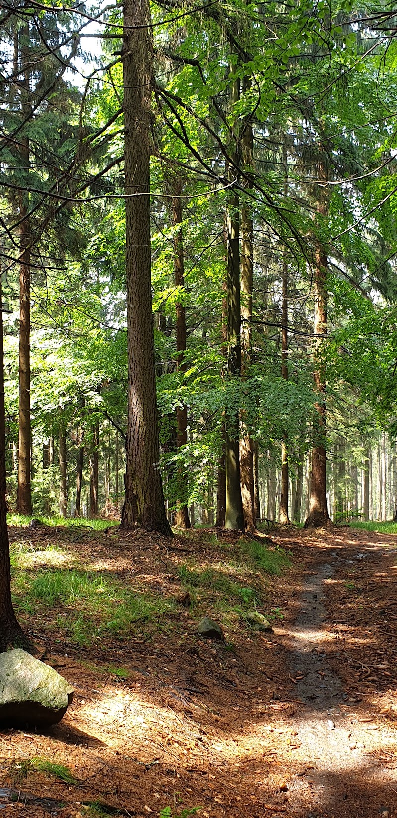 Lime Kiln Hill - Lime Kiln Hill, 407 47 Krásná Lípa-Varnsdorf 1, Czechia