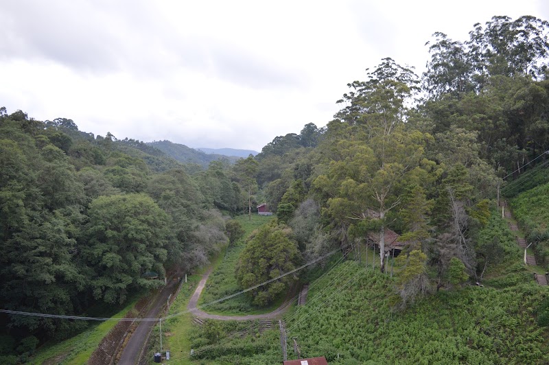 Mattupetty Dam - Mattupetty Dam Mattupatty Dam, Mattupetty, Kannan Devan Hills, Kerala 685616, India