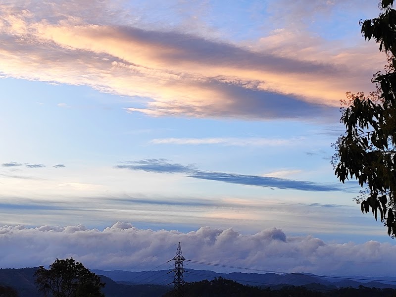 Royal Mist - Munnar - Royal Mist - Munnar PO, Chithirapuram, Munnar, Kerala 685565, India