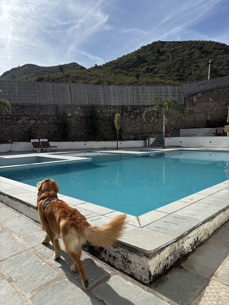 Mahua Boutique Homestay - Mahua Boutique Homestay Beeda Road, Nadra, Nai, Udaipur, Rajasthan 313031, India