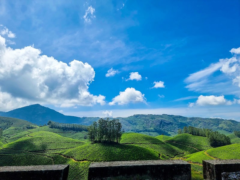 Spice Stays - Camping, Trekking, Kolukkumalai Jeep Safari & Sunrise - Spice Stays - Camping, Trekking, Kolukkumalai Jeep Safari & Sunrise, Bodimethu - Suryanallei Rd, Muthuvan Kudi, Suryanelli, Kerala 685618, India