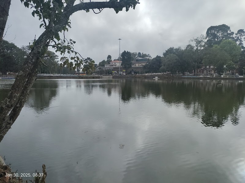 Kodaikanal lake