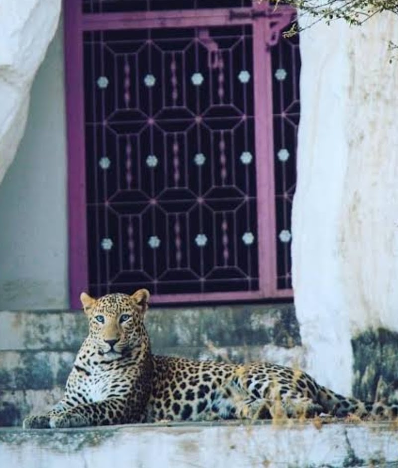 Bera - Bera, Rajasthan 306126, India