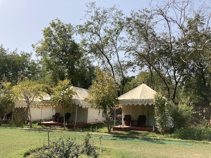 Jungle View Resort - Jungle View Resort, 2CX4+4RQ, Ranthambhore Rd, near Ranthambore National Park, Sawai Madhopur, Rajasthan 322001, India