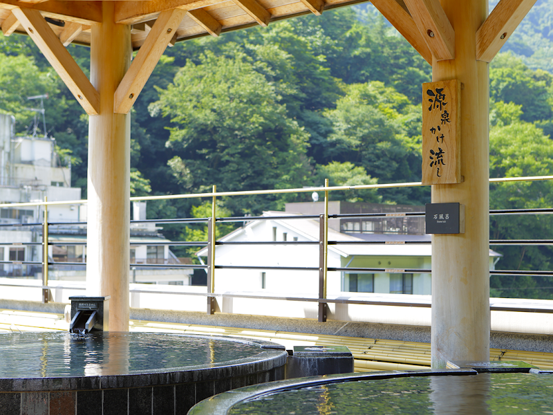 Tenseien - Tenseien 682 Yumoto, Hakone, Ashigarashimo District, Kanagawa 250-0311, Japan