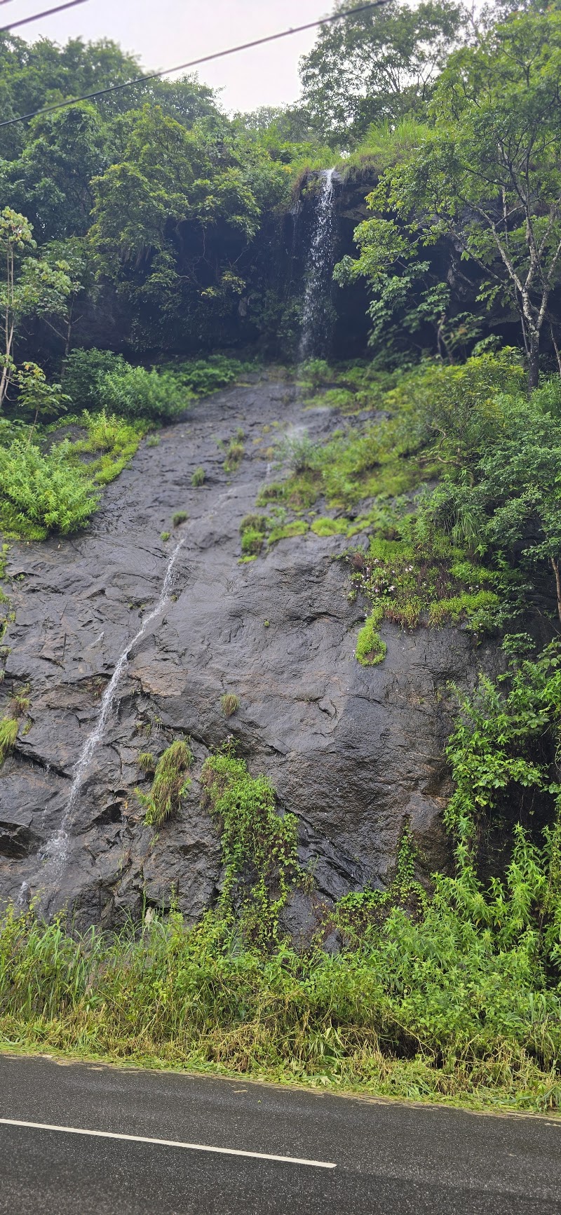 Kandiyar Rocks Waterfalls Viewpoint - Kandiyar Rocks Waterfalls Viewpoint XX9W+Q9P, Kallarkutty Dam Rd, Keralam 685562, India