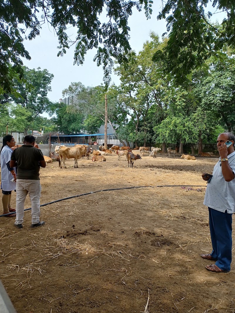 P R Goshala - P R Goshala, Goshala chowk, PF4J+6J9, near BED collage, Balangir, Odisha 767001, India