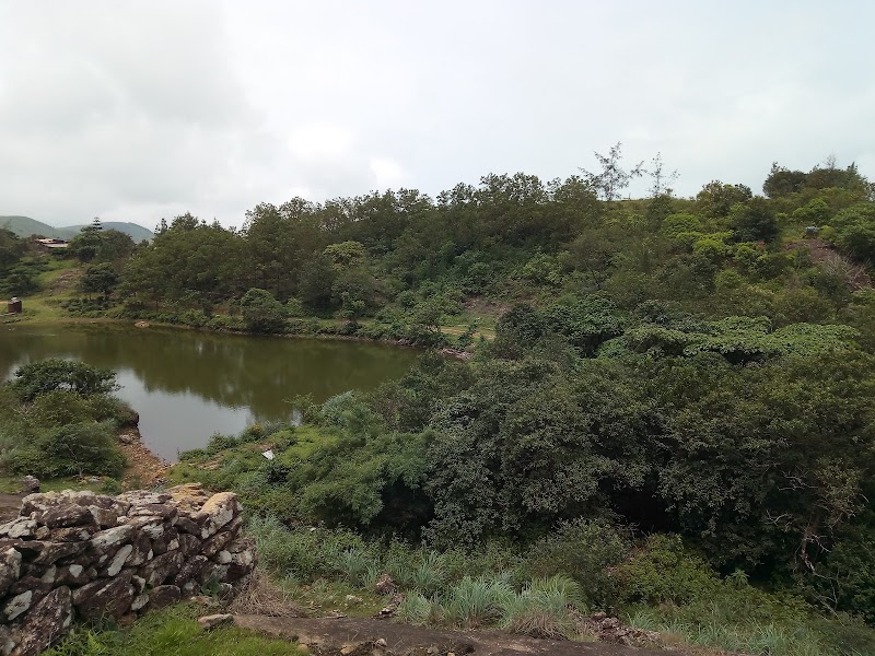 Thangalpara - Thangalpara MW85+65F, Vagamon, Keralam 685501, India