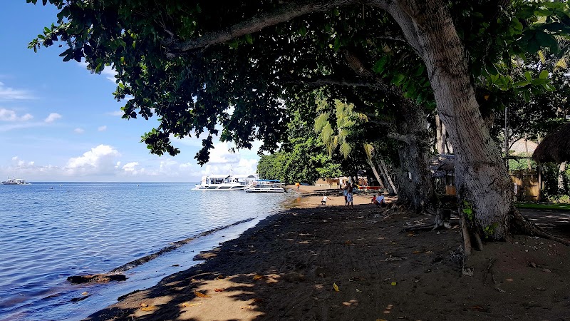 Dauin - Dauin, Negros Oriental, Philippines