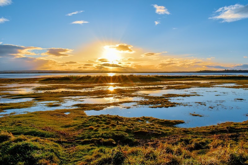 Findhorn Bay Local Nature Reserve - Findhorn Bay Local Nature Reserve, Forres IV36 3TD, UK