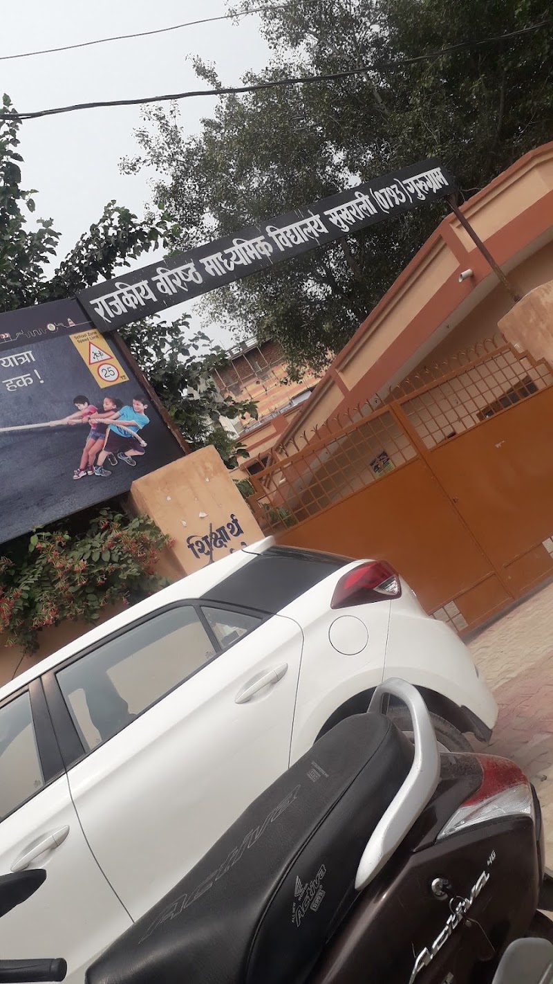 Government senior secondary school Sukhrali, gurugram - Government senior secondary school Sukhrali, gurugram, Government Primary School Sukhrali, gurugram Near community center Sec, 17, Sector Rd, Sukhrali, Sector 17, Gurugram, Haryana 122007, India