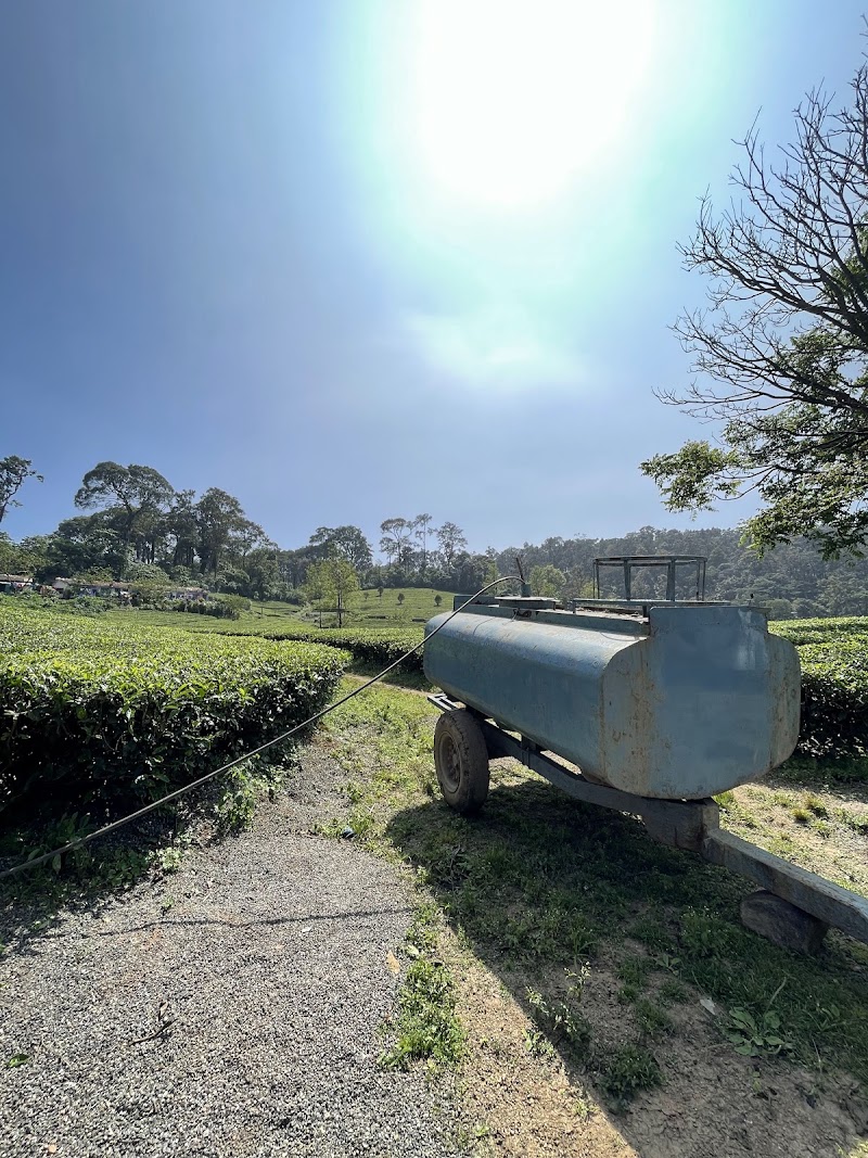 Laxmi Tea Estate - Laxmi Tea Estate, 329X+J3C, Unnamed Road, Kannan Devan Hills, Kerala 685612, India