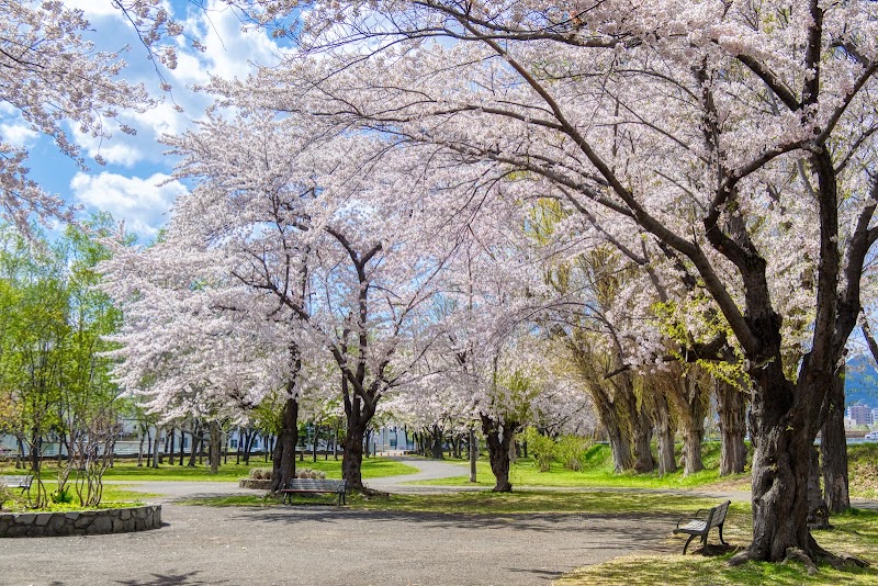 Noshi Park