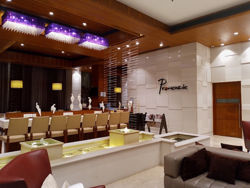 Park Plaza Delhi CBD Shahdara - Park Plaza Delhi CBD Shahdara Plot 32, Central Business Dist, 17/169, Karkari Rd, Bhikam Singh Colony, Block 17, Vishwas Nagar, Shahdara, Delhi, 110032, India