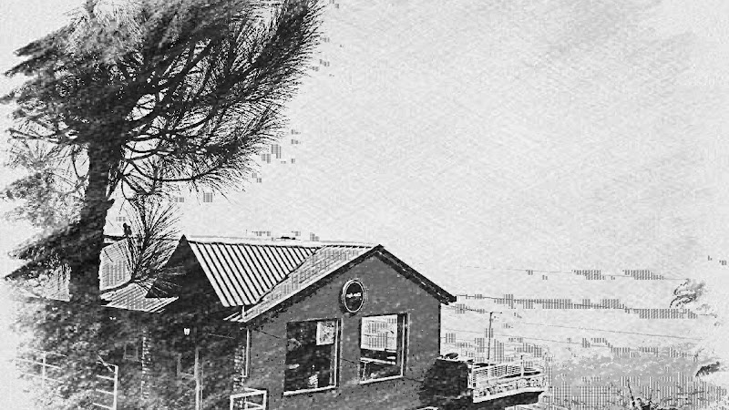 Cafe mitti kasauli - Cafe mitti kasauli MDR10, near Sanawar Lawrence School, Kasauli, Himachal Pradesh 173204, India