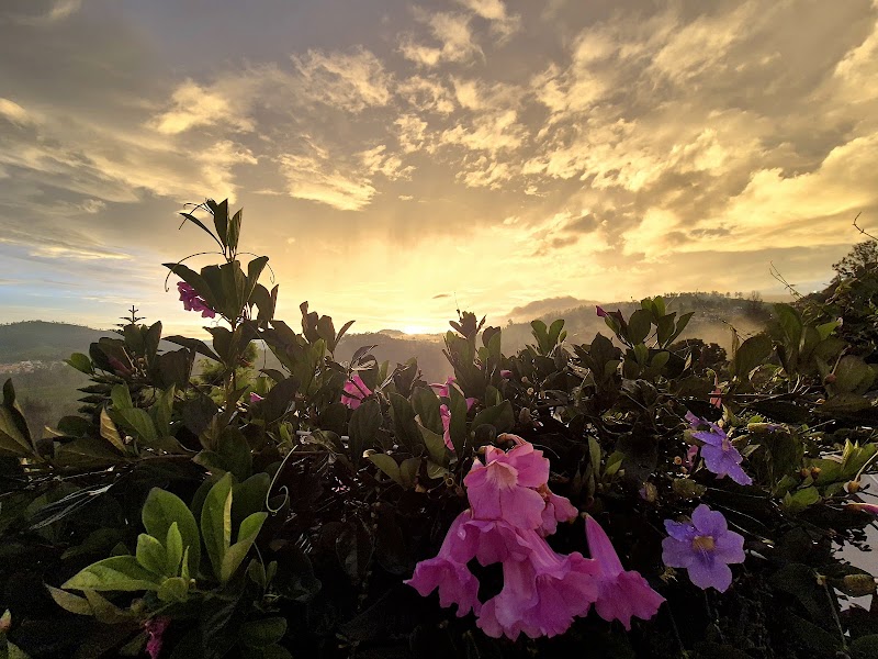 Sunvalley Homestay - Sunvalley Homestay Stanley Park, Ottupattarai, Coonoor, Ooty, Wellington, Tamil Nadu 643102, India