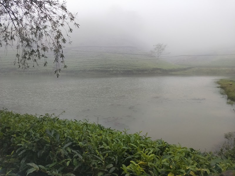 Vagamon View Point - Vagamon View Point MVPX+3H, Vagamon, Keralam 685503, India