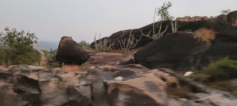 Dhoopgarh Information Center - Dhoopgarh Information Center FC8M+XRG, Dhoopgarh, Pachmarhi, Madhya Pradesh 461881, India